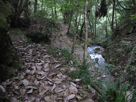20161014hike (294)